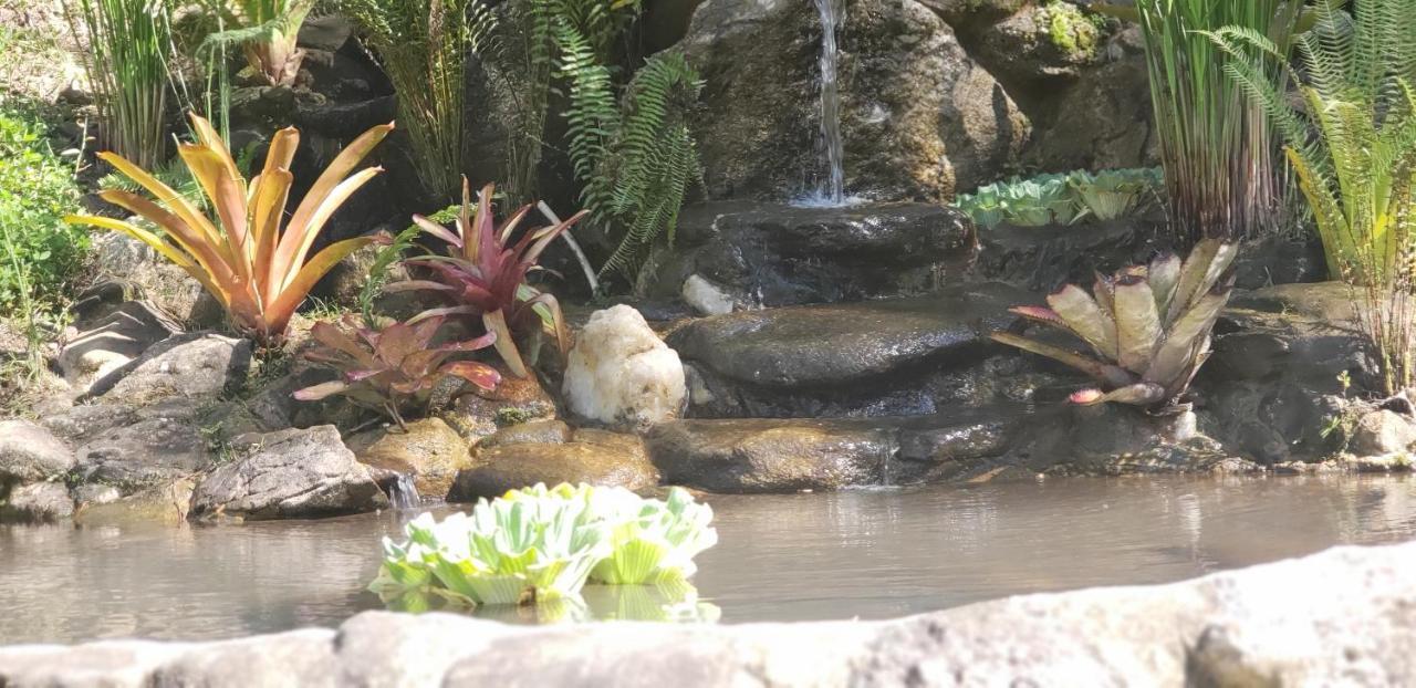 Recanto Luamar Pousada サーナ エクステリア 写真